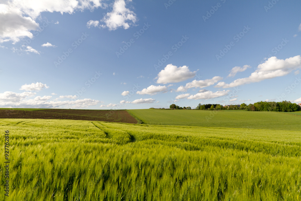 Obraz premium Feldlandschaft in Deutschland, Bayern