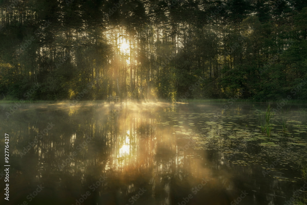 Morning over a forest lake with fog, in the Czlopa commune near Mielecin Morning over a forest lake with fog, in the Czlopa commune near Mielecin