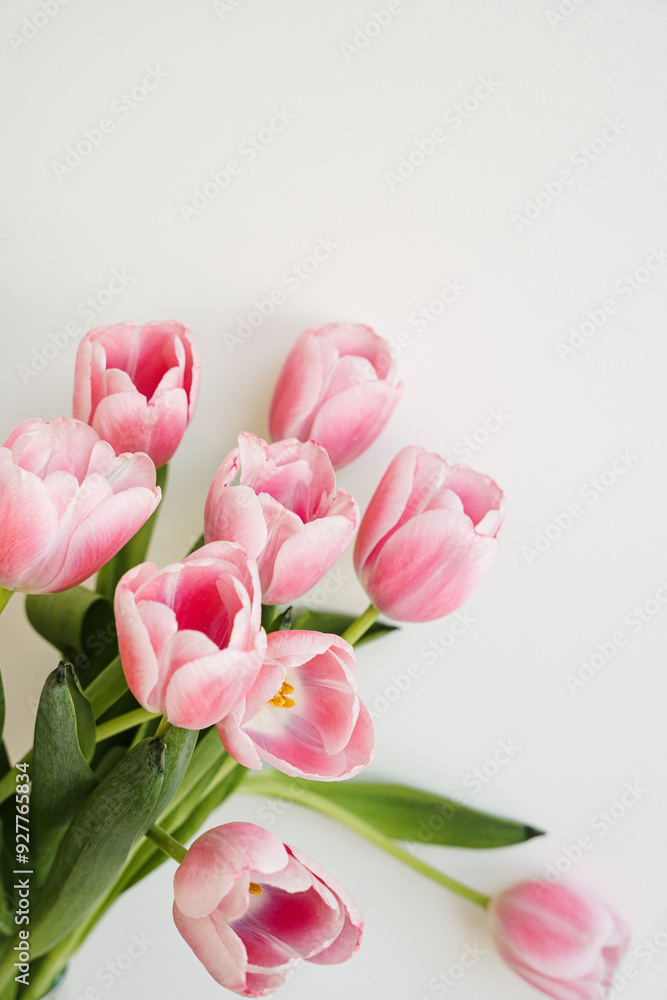Fototapeta premium Pastel pink tulip flowers bouquet. Aesthetic holiday celebration concept