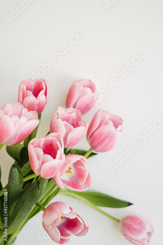 Wallpaper Mural Pastel pink tulip flowers bouquet. Aesthetic holiday celebration concept Torontodigital.ca