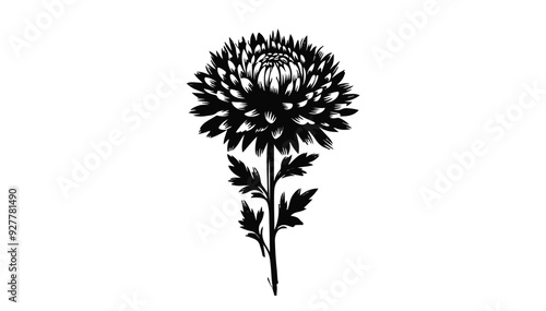 Wallpaper Mural Aster flower silhouette vector illustration. Torontodigital.ca