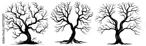 three tree silhouettes emphasizing natural structure and form