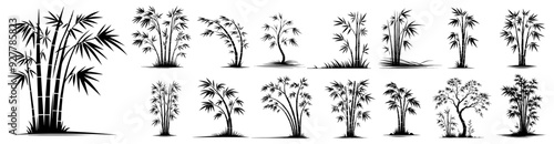 Photos collection of decorative bamboos, plant ornament, black vector