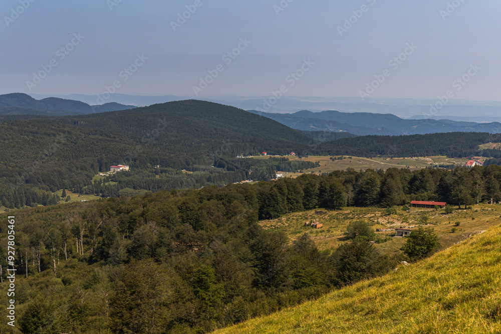 Obraz premium Panoramic view of green hills in the maountain on a sunny summer day