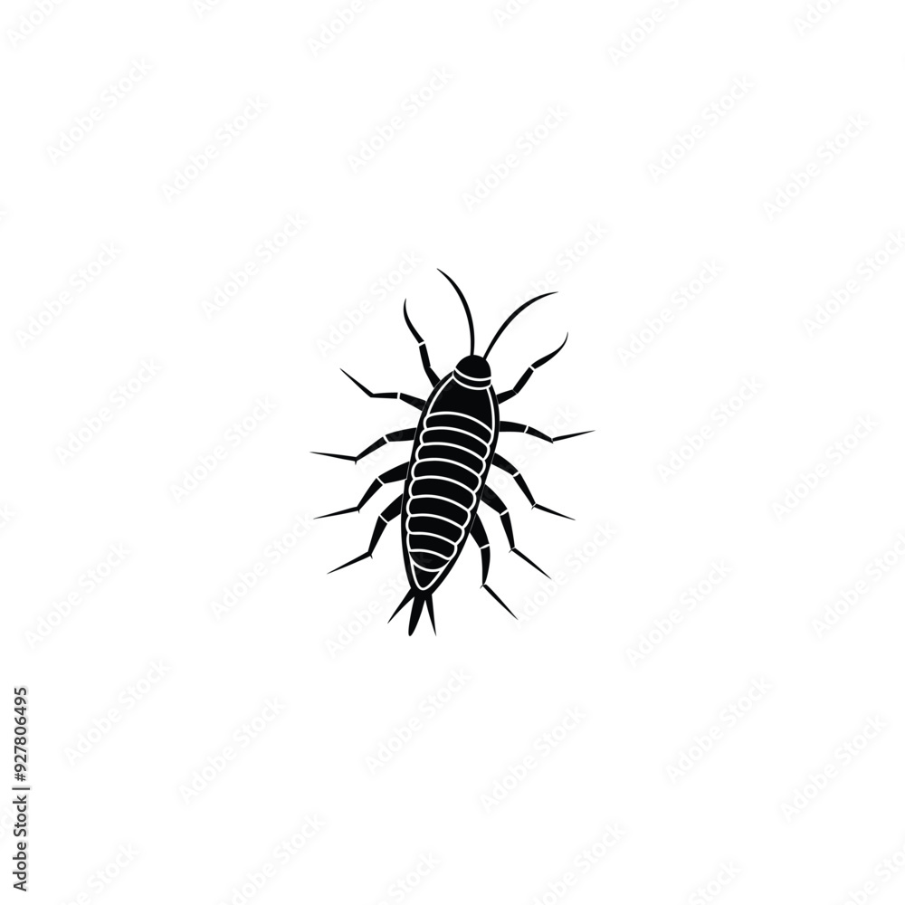 Silverfish icon vector isolated on white background Silverfish icon vector isolated on white background
