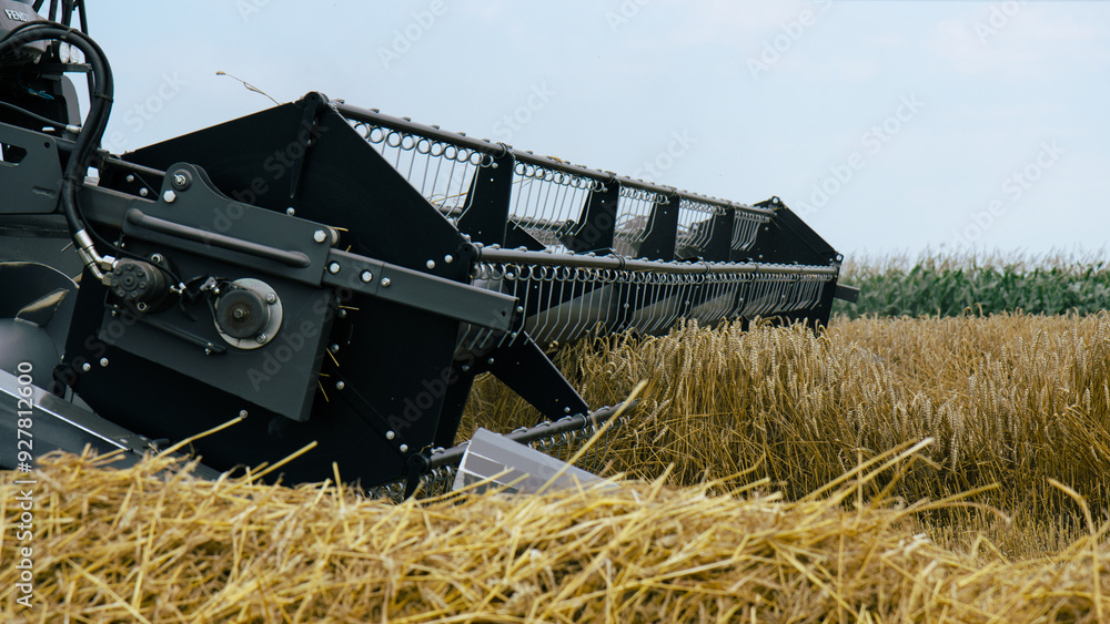 Close-up of a combine harvester in action, cutting through a dense wheat field. Modern farming technology designed for high-efficiency grain harvesting. Agricultural machinery.