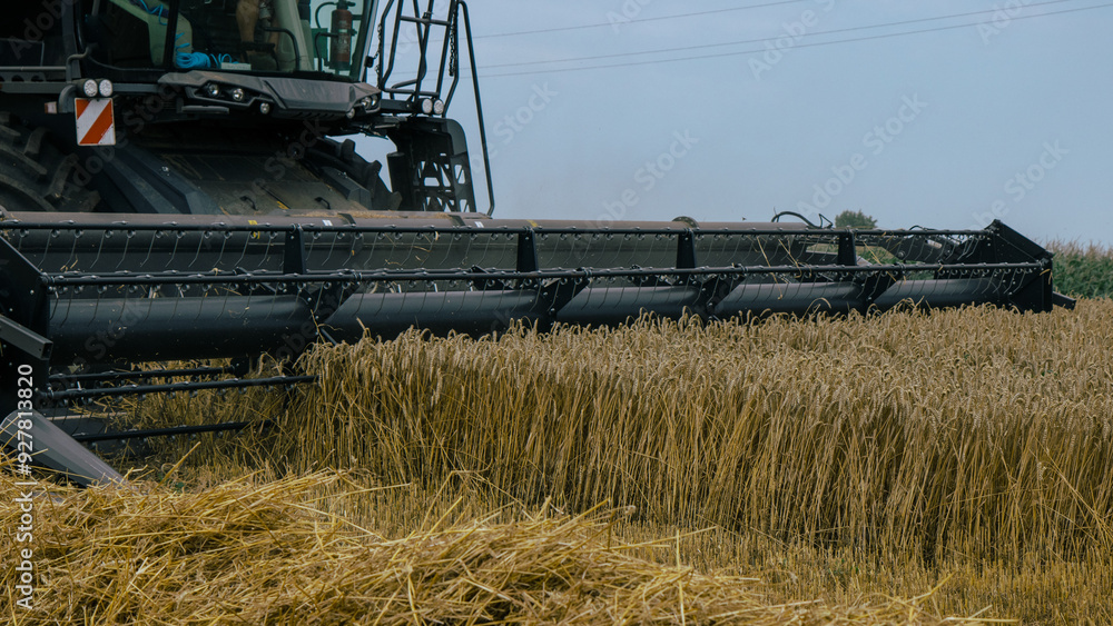 Combine harvester cutting through a dense wheat field, showcasing powerful agricultural machinery. Precision harvesting technology for high-efficiency farming. Summer harvest concept.