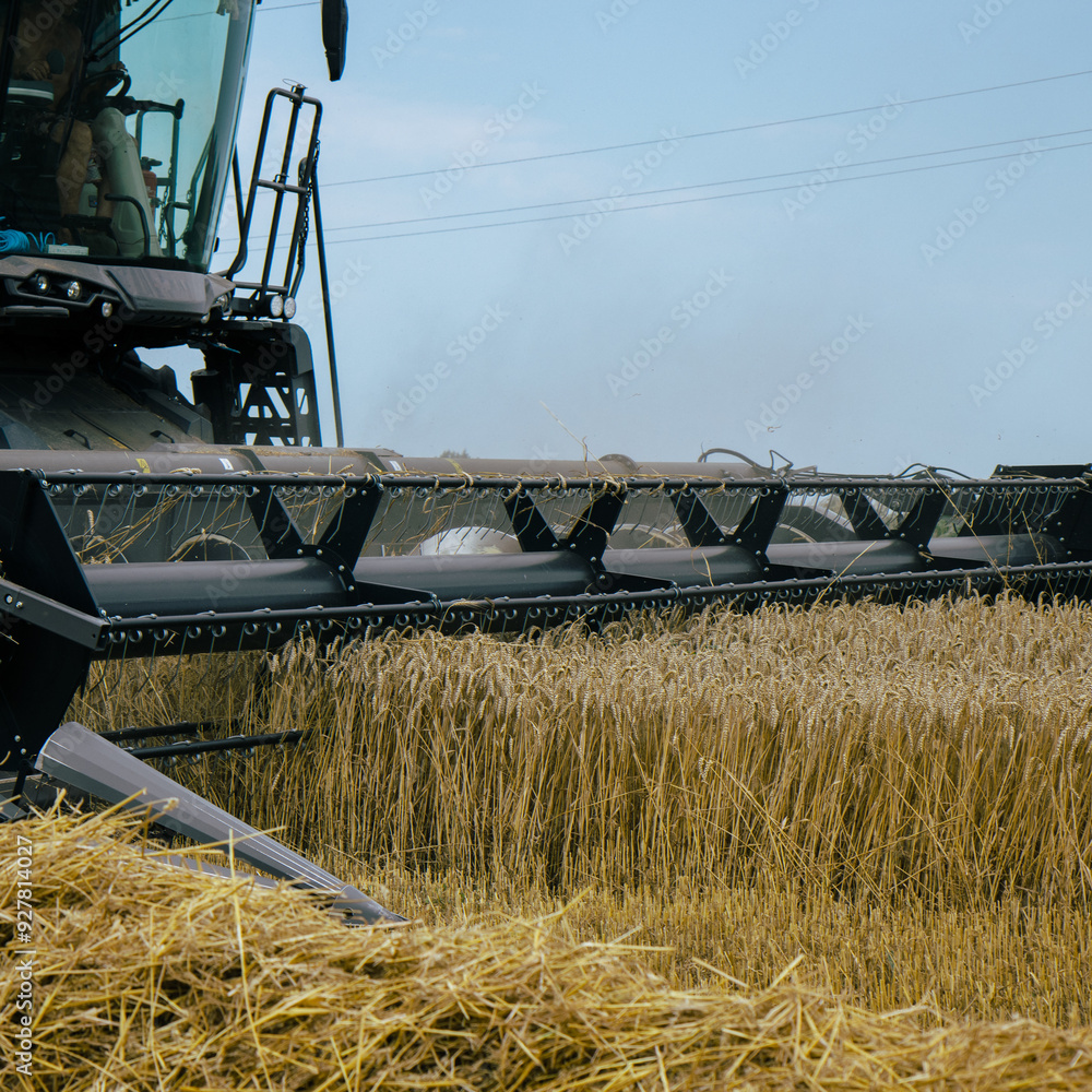 Combine harvester cutting through a dense wheat field, showcasing powerful agricultural machinery. Precision harvesting technology for high-efficiency farming. Summer harvest concept.