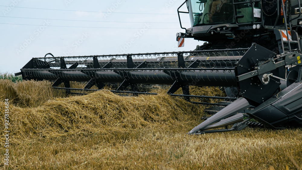 Combine harvester cutting through wheat, detailed shot of the cutting bar. Agricultural machinery in operation, showcasing efficient and precise harvesting technology. Farming innovation.