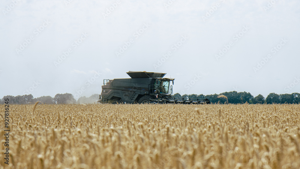 Combine harvester in a wheat field, mid-distance view, capturing the harvesting process. Efficient agricultural machinery working during harvest season. Farming technology in action.