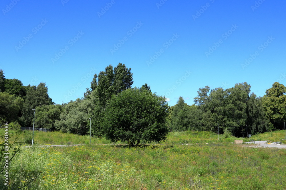 Landscape summer day. Solna, Stockholm, Sweden. Landscape summer day. Solna, Stockholm, Sweden.