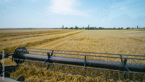 Obraz na płótnie View of a combine harvester's cutting bar from the cab, capturing the wheat harvesting process. Modern agricultural machinery in action during harvest season. Farming efficiency. w salonie