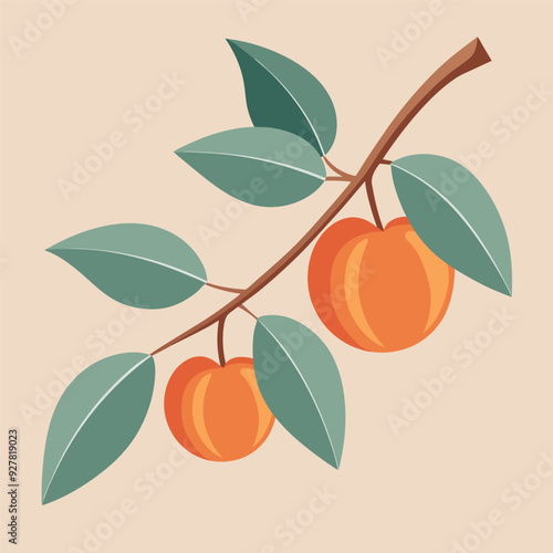 a branch with peaches and leaves
