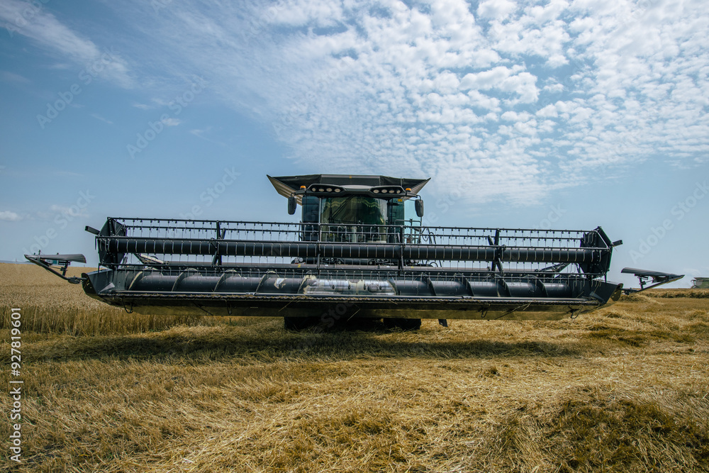 Front view of a combine harvester working in a wheat field under a bright sky. High-efficiency agricultural machinery in action during harvest season. Farming technology and innovation.
