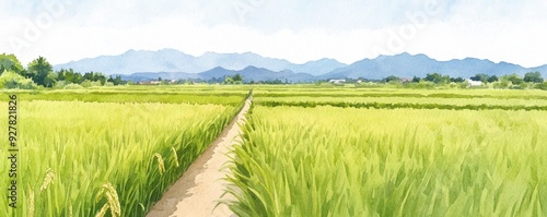 A serene landscape featuring vibrant green rice fields and distant mountains under a clear sky, perfect for nature lovers. watercolor Style