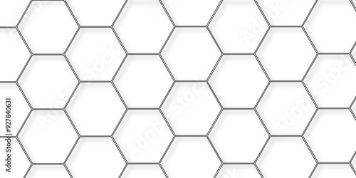 Abstract minimal geometric white and black light background design. Vector illustration of hexagons pattern. luxury white pattern geometric mesh cell texture. Modern pattern elegant gold line template