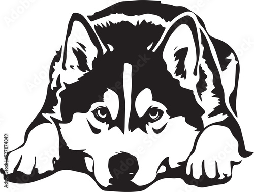 Siberian Husky Dog Lying Down Stylized Vector Illustration