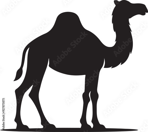 Camel vector silhouette, vector black color silhouette, isolated white background.