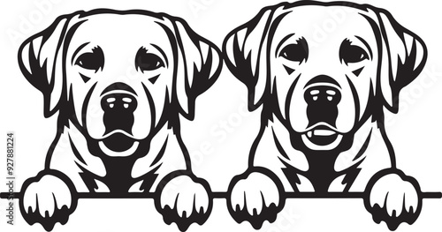 Two Labrador Dogs Peeking Vector Illustration