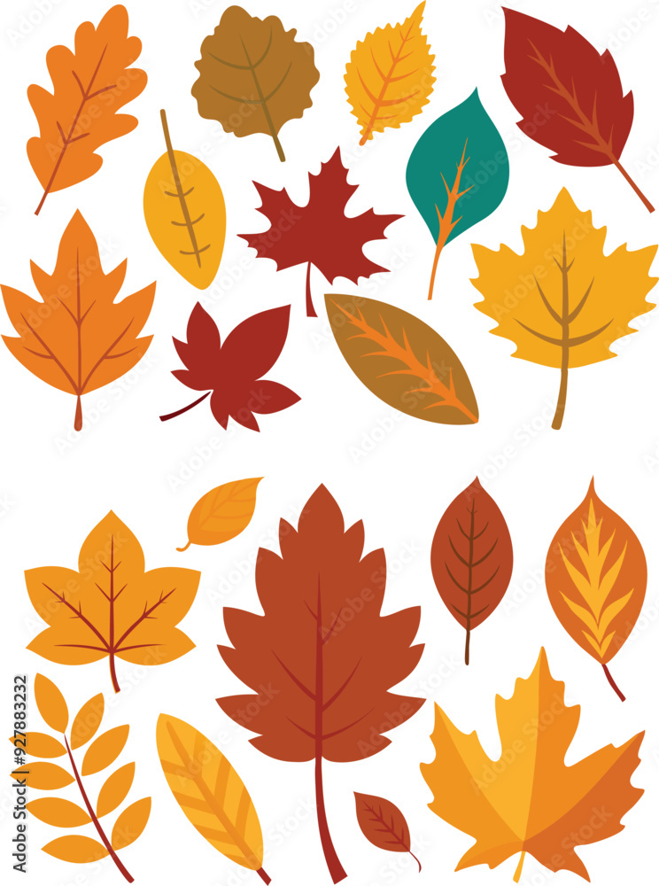 silhouette leaves set autumn on white background isolated, vector silhouette leaves set autumn on white background isolated, vector