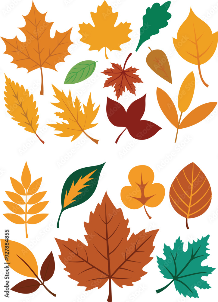 silhouette leaves set autumn on white background isolated, vector silhouette leaves set autumn on white background isolated, vector