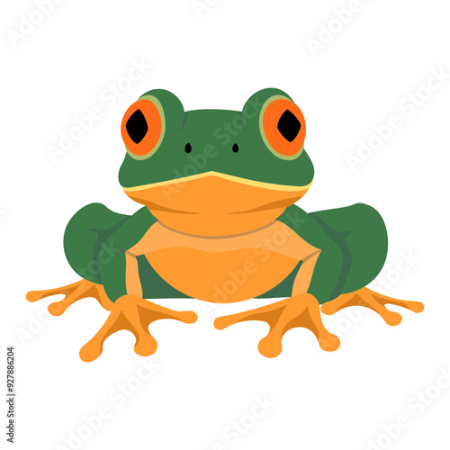 Red-eyed green frog, Agalychnis callidryas - SVG