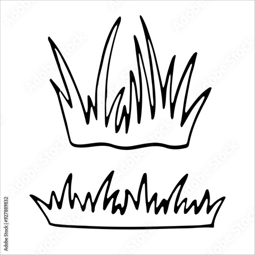 Black silhouettes of grass, meadow and field isolated on white background. Hand drawn garden grass, field outline, vector illustration.