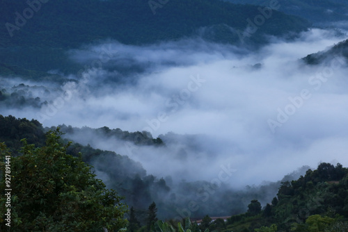 fog in the mountain in Yunnan