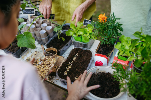 Students growing vegetable and herb seedlings. Outdoor sustainable education class in school garden. Concept of experiential learning and ecoliteracy. photo