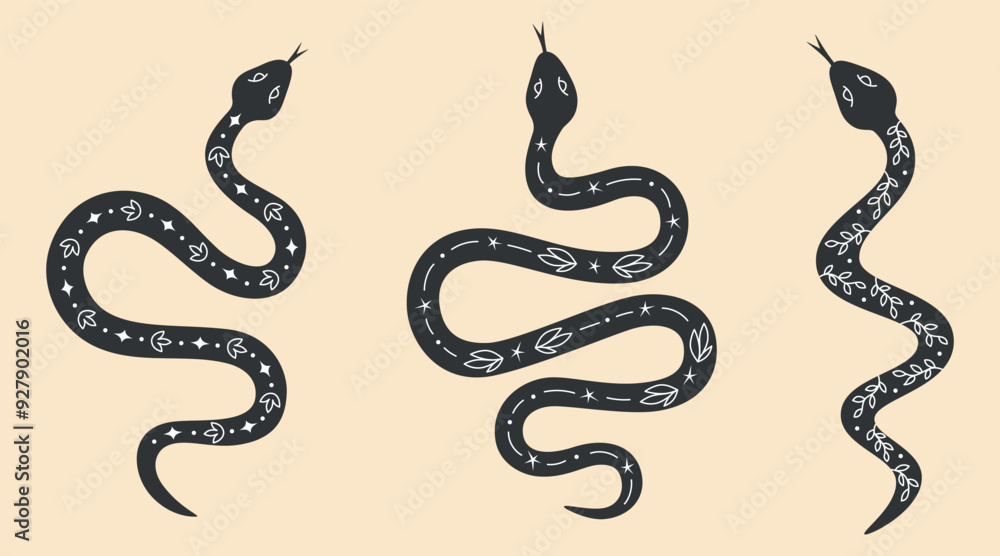 Obraz premium Set of mysterious snakes with floral and space elements. Black and white hand drawn mystic snakes collection. Magic or spiritual symbols. Vector illustration.