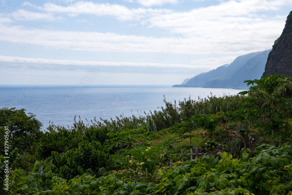 Spectacular coastline near Seixal on the north coast of Madeira Spectacular coastline near Seixal on the north coast of Madeira