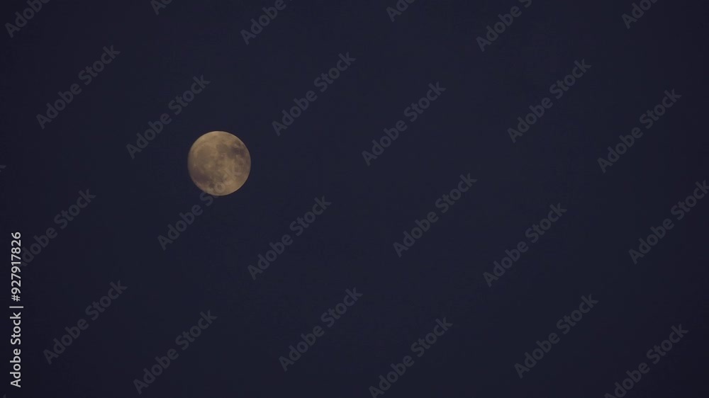 Tokyo, Japan - August 18, 2024: The half moon covered with light clouds Tokyo, Japan - August 18, 2024: The half moon covered with light clouds