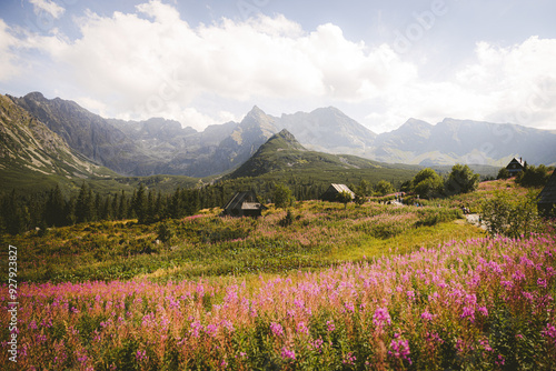 mountain landscape with flowers