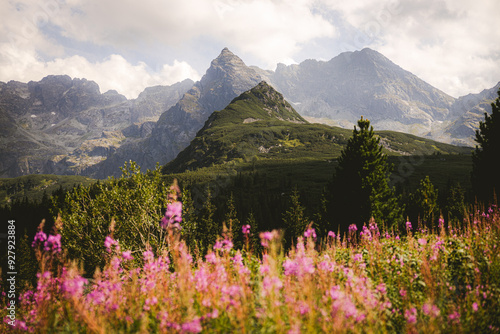 landscape with flowers