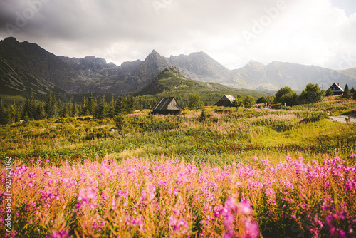 landscape with flowers