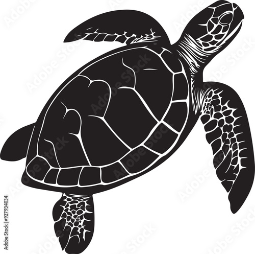 turtle tortoise silhouette vector