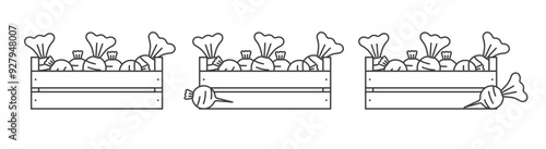 Beet in a wooden box icons outline. Vegetables in a wooden box line icon. Radish in a wooden box icon. symbol, logo illustration.