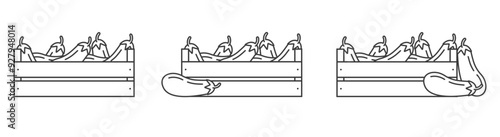 Eggplant in a wooden box icons outline. Vegetables in a wooden box line icon. Harvest symbol, logo illustration.