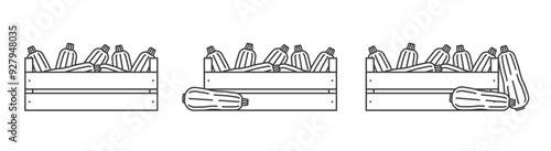 Zucchini in a wooden box icons outline. Vegetables in a wooden box line icon.