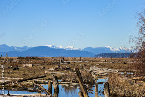 looking north from Richmond Vancouver