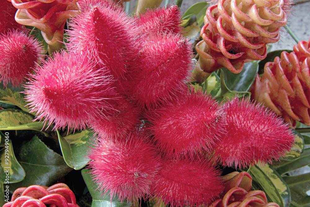 Exotic floral arrangement made with Urucum seeds, Bixa orellana, and red ginger flowers, Zingiber officinale, Brasília, Brazil, 2018 Exotic floral arrangement made with Urucum seeds, Bixa orellana, and red ginger flowers, Zingiber officinale, Brasília, Brazil, 2018