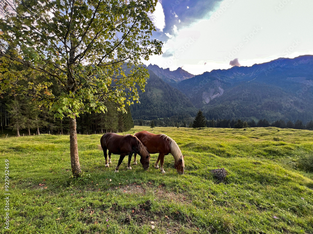 Obraz premium Hindelang im Allgäu