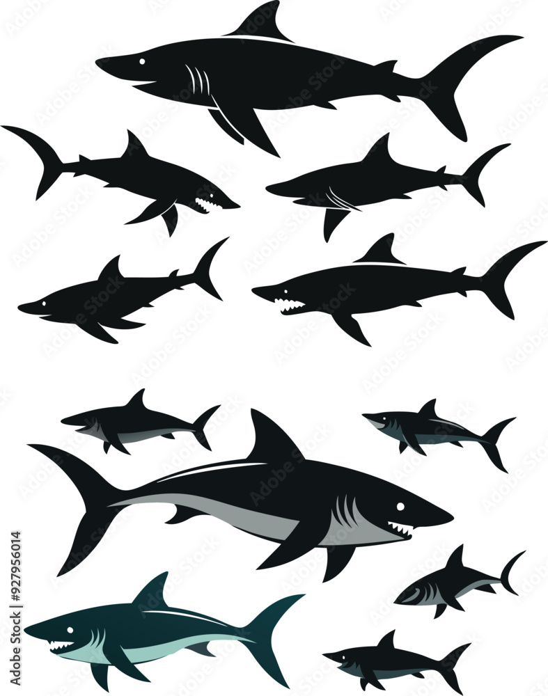 set of sharks in different poses silhouette, vector set of sharks in different poses silhouette, vector