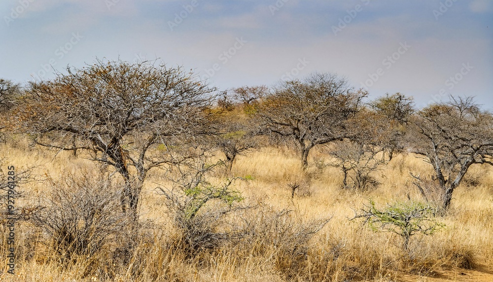 featuring stunning views of South Africa, generative ai featuring stunning views of South Africa, generative ai