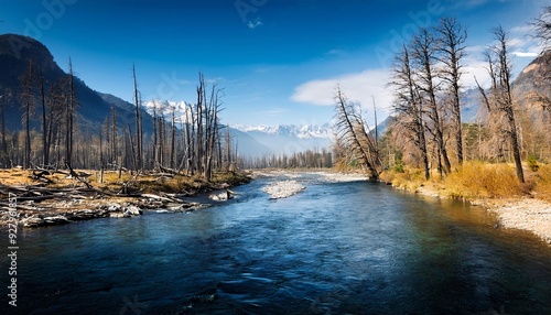 a river flowing calmly amidst dry trees. generative ai photo