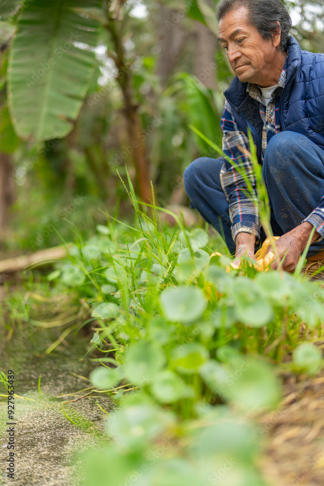 Fototapeta premium Latin farmer checking the water flow in his fish farm pond