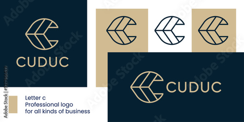 Nature Meets Mechanics Logo: Letter C with Leaf and Wrench Elements.
