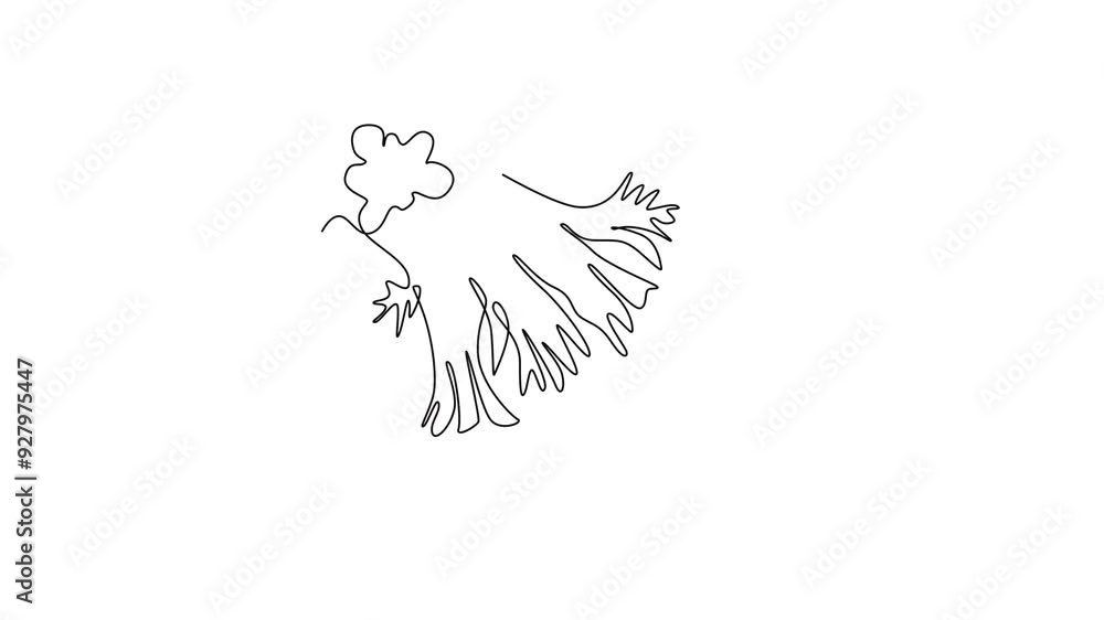 Animated self drawing of continuous line draw of whole healthy organic green broccoli for kitchen logo identity. Fresh edible green plant concept for vegetable icon. Full length single line animation Animated self drawing of continuous line draw of whole healthy organic green broccoli for kitchen logo identity. Fresh edible green plant concept for vegetable icon. Full length single line animation