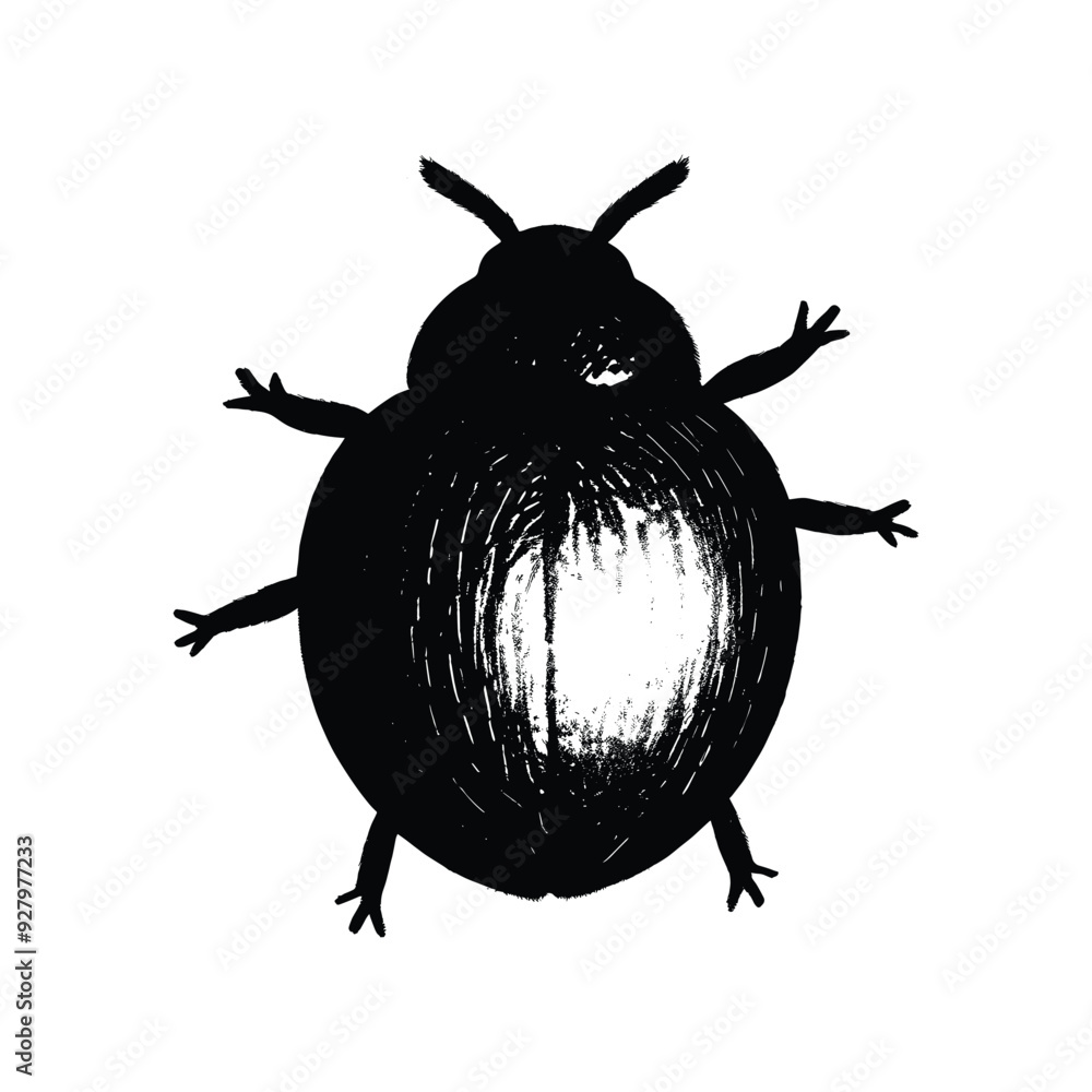 Artistic Black and White Beetle Illustration Artistic Black and White Beetle Illustration