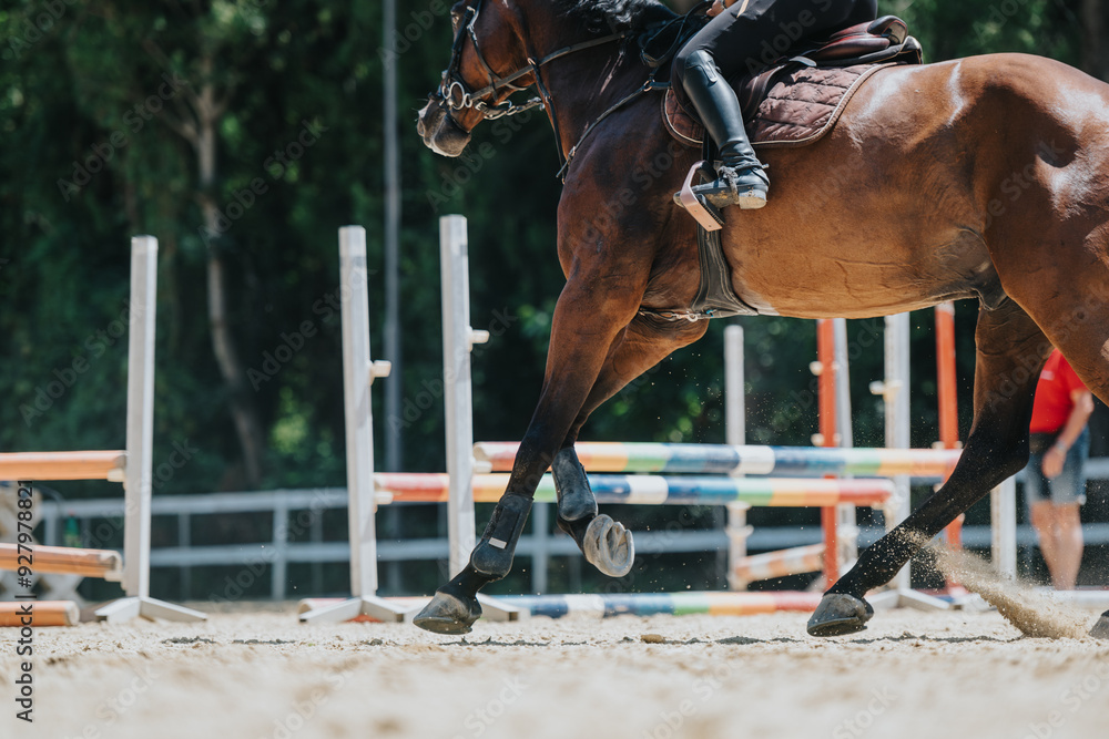 Obraz premium Close-up shot of a horse and rider participating in an equestrian show jumping competition on a sunny day.